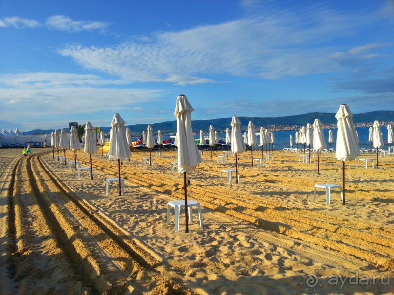 фото Elenis Studio