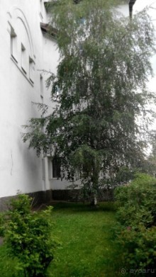 фото Огниково