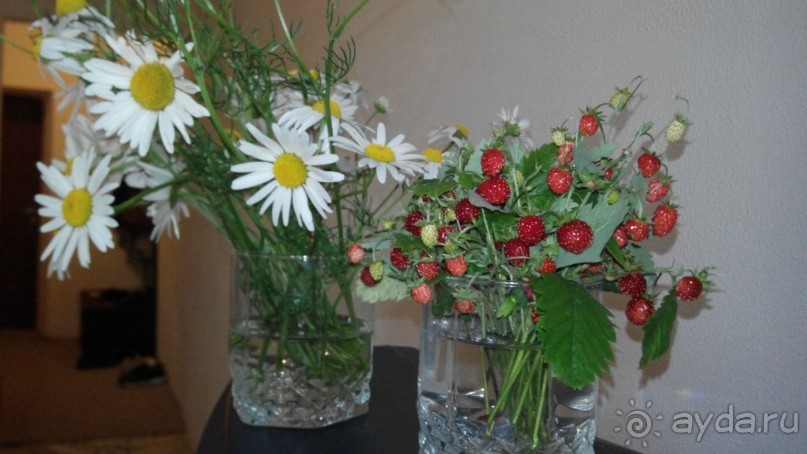 фото Огниково