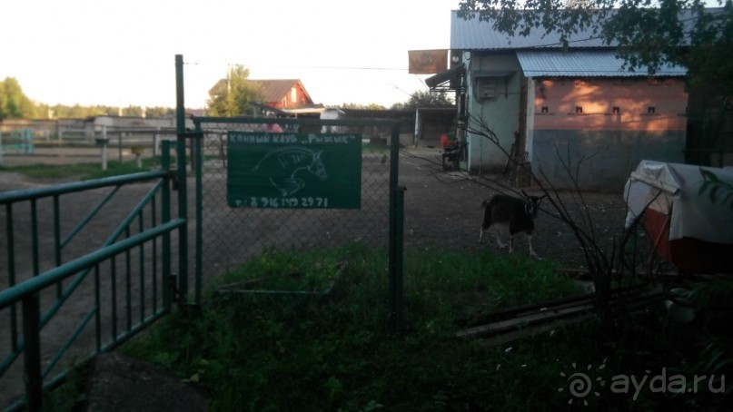 Пионерлагерь "Огниково"