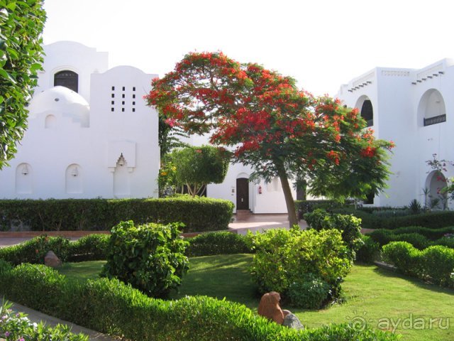 Наш отпуск.