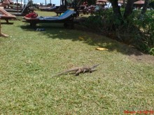 экзотика под настроение