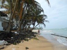 экзотика под настроение