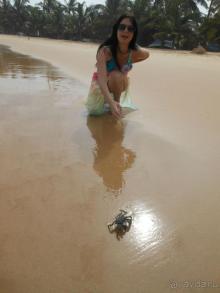 экзотика под настроение