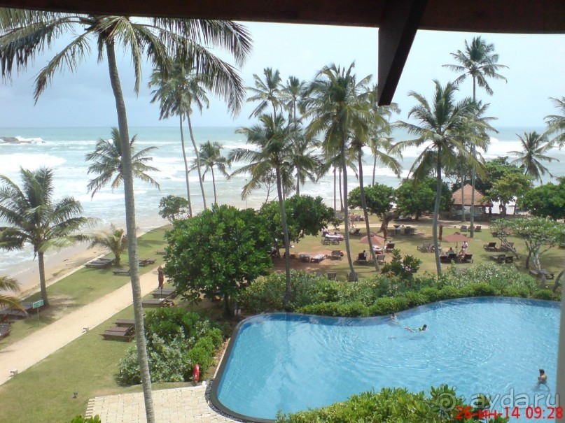 экзотика под настроение