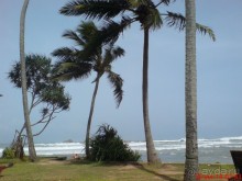 экзотика под настроение