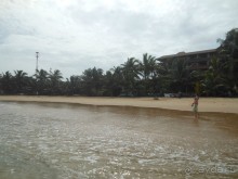 экзотика под настроение