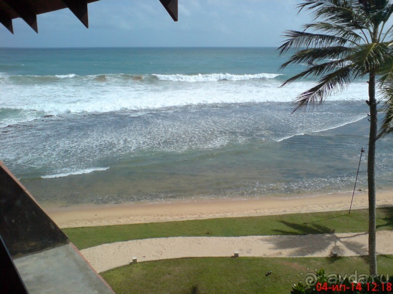 экзотика под настроение