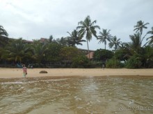 экзотика под настроение