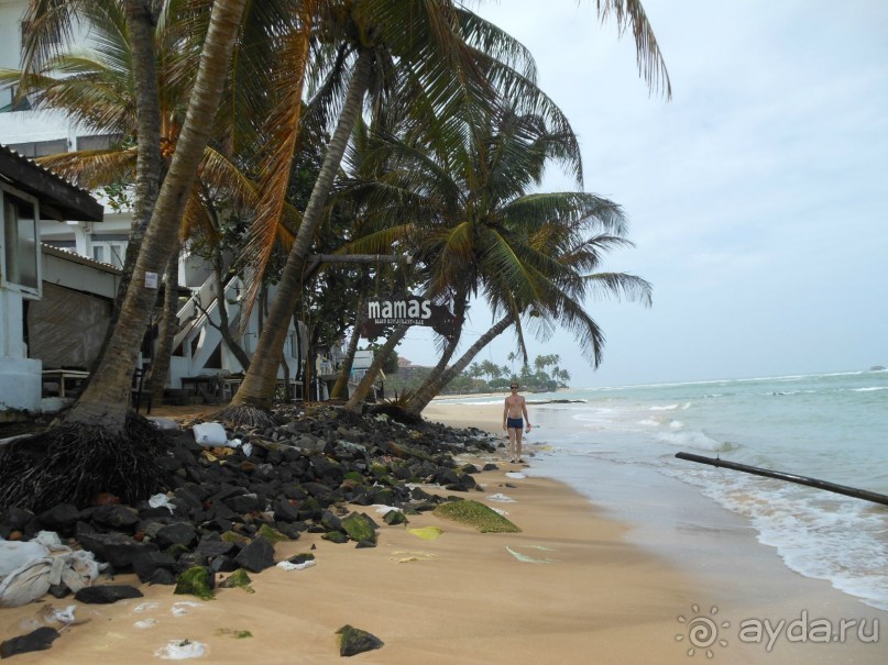 экзотика под настроение