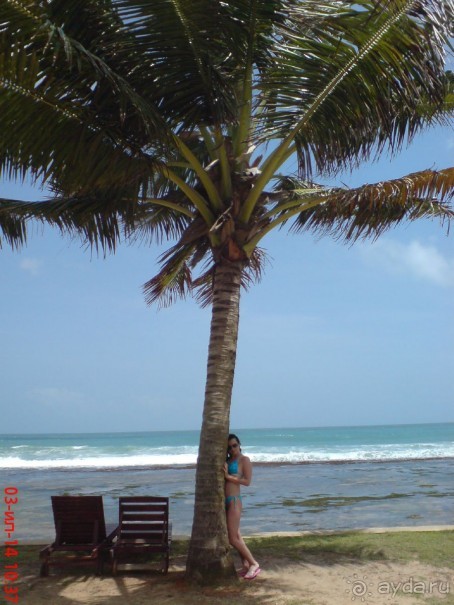 экзотика под настроение