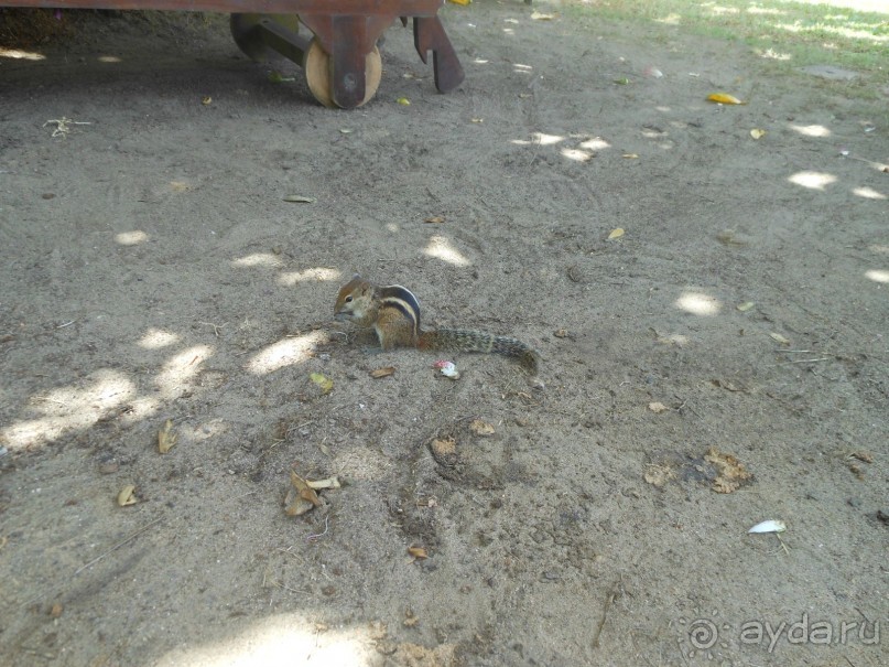 экзотика под настроение