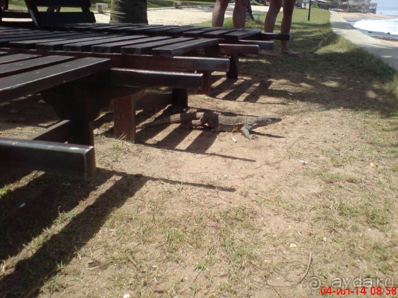 экзотика под настроение