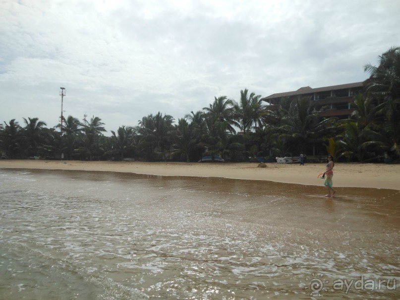 экзотика под настроение