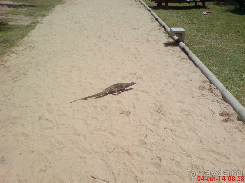 экзотика под настроение