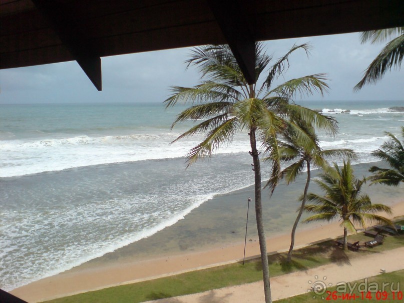 экзотика под настроение