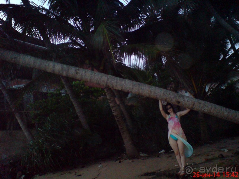 экзотика под настроение