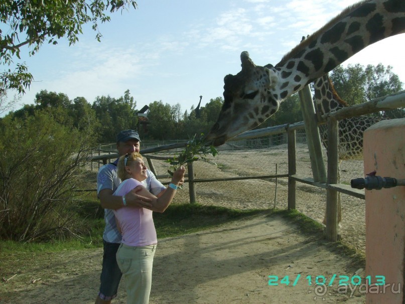 следующий отпуск только здесь.