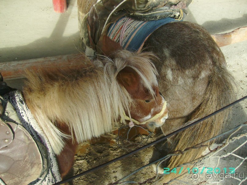 Взрослым побывать обязательно!