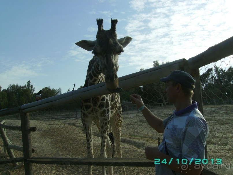 Взрослым побывать обязательно!