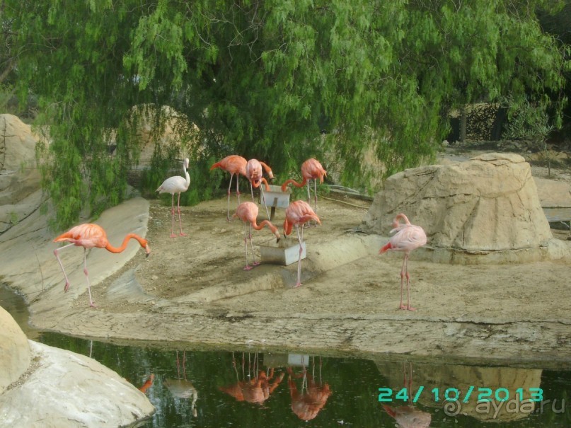 Взрослым побывать обязательно!