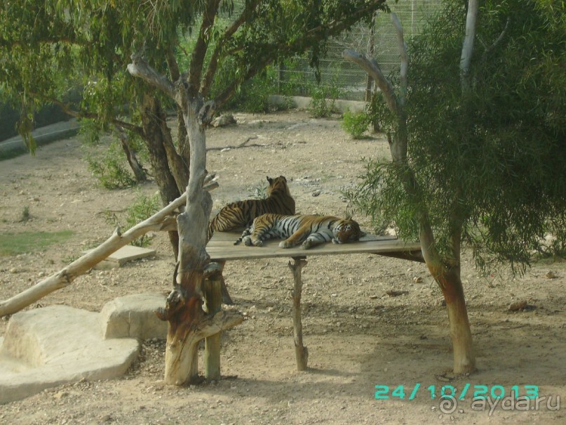 Взрослым побывать обязательно!