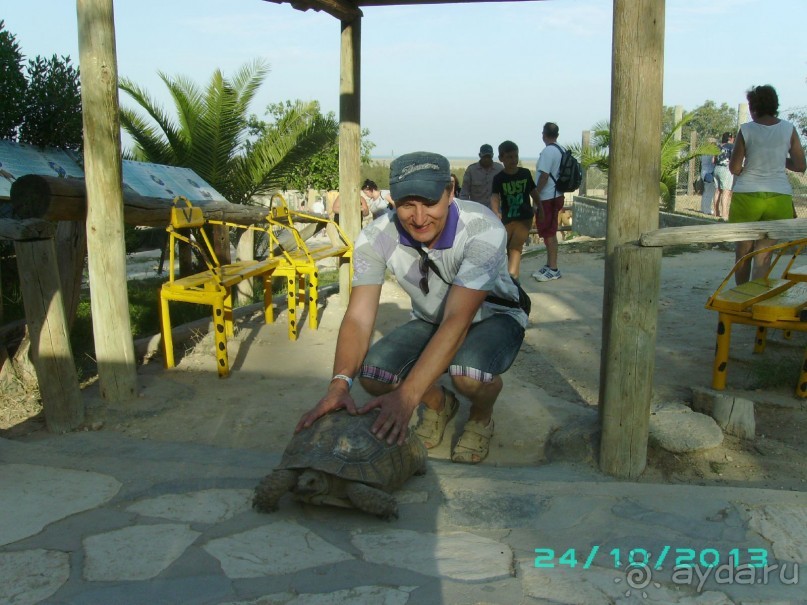 Взрослым побывать обязательно!