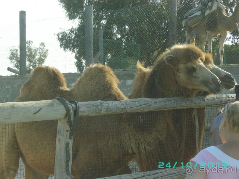 Взрослым побывать обязательно!