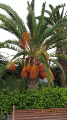 Рай на земле-это Тунис!