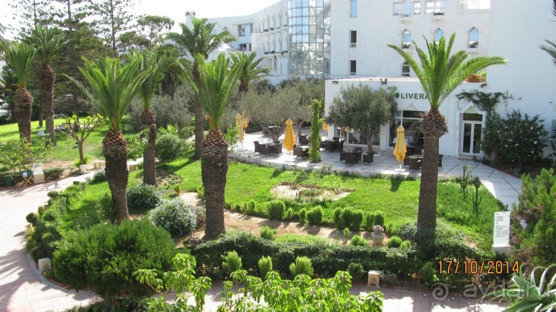 Рай на земле-это Тунис!