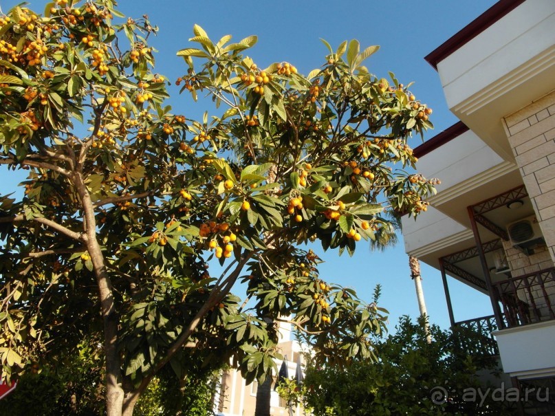 Замечательная "трешка"