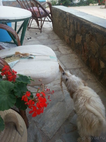 Буквально на песке...