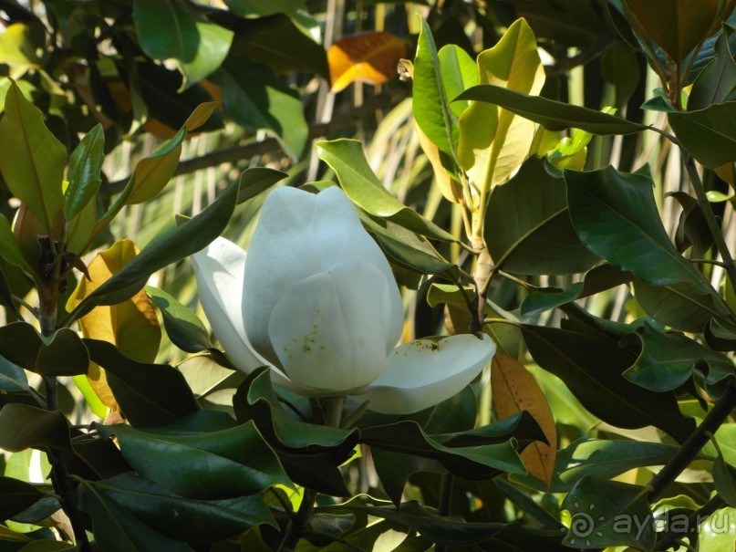 Мистическое место.... СУПЕР!