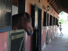 Мистическое место.... СУПЕР!