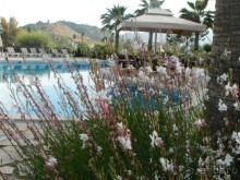 Мистическое место.... СУПЕР!