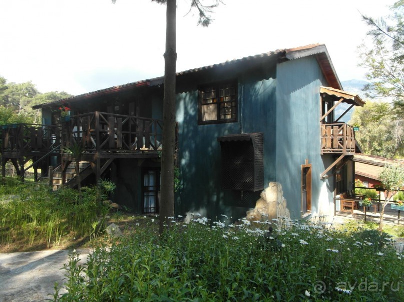 Мистическое место.... СУПЕР!