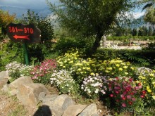 Мистическое место.... СУПЕР!