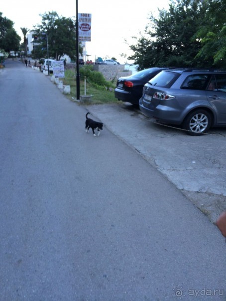 . сутоморе-это море ,климат, погода,видовые балконы,еда,славянская речь 