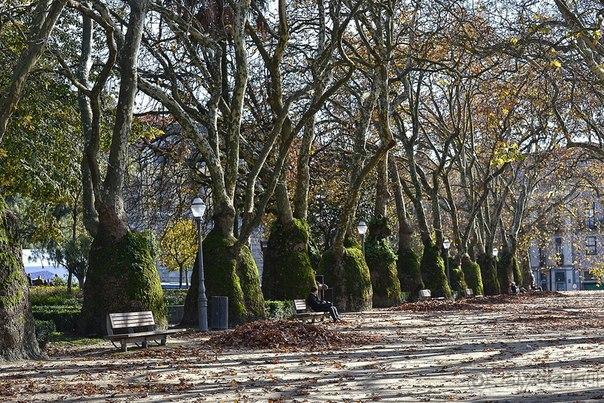 Самобытный Порту