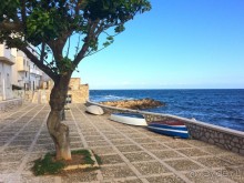 Сицилия(Трапани,Палермо)