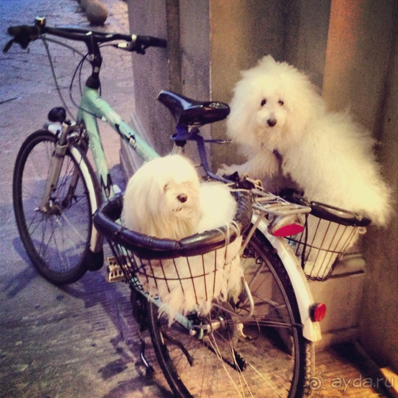 Флоренция, Лукка, Болонья