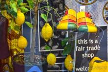 Альбом отзыва "Венеция - сказочный город на воде!"