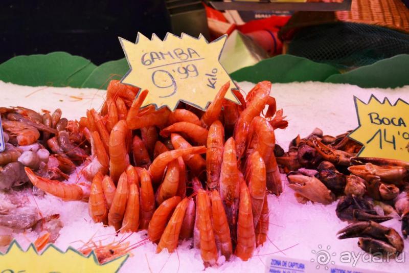 Барселона - любовь с первого взгляда!