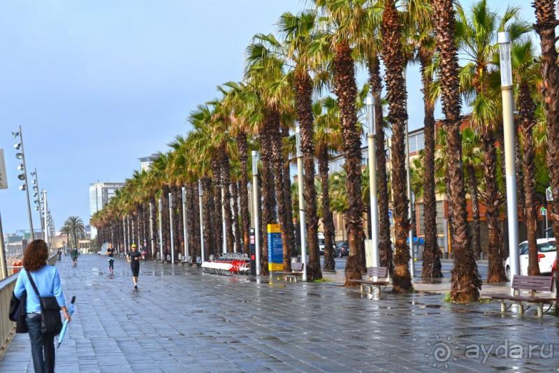 Барселона - любовь с первого взгляда!