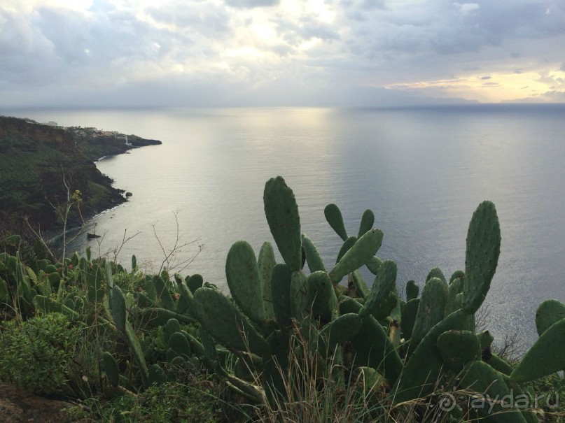 Неповторимая Мадейра!