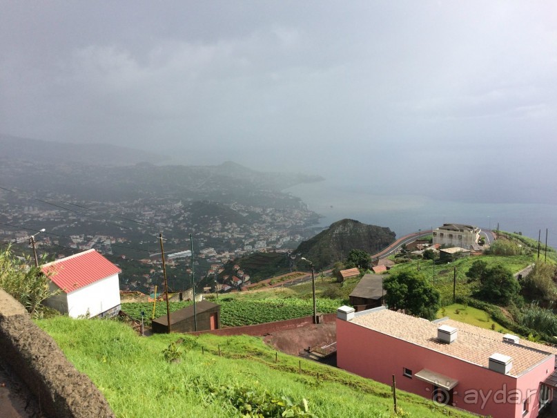 Неповторимая Мадейра!