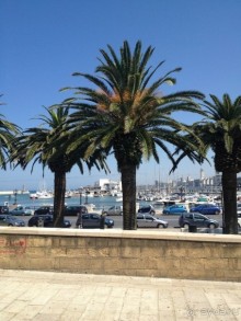 Жду чудес от Святого Николая