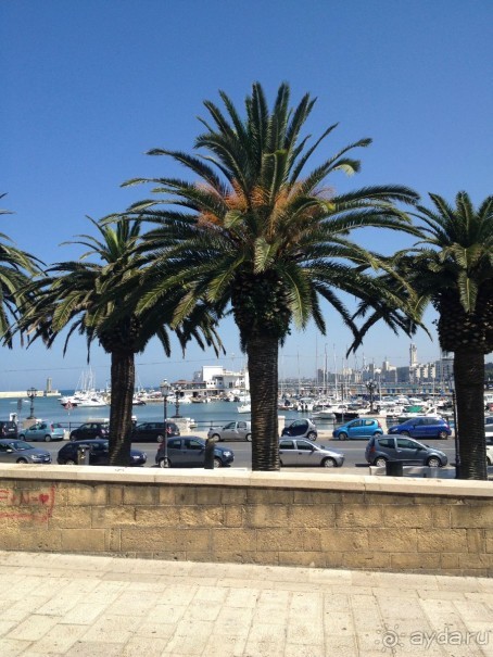 Жду чудес от Святого Николая