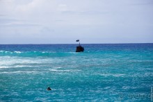 Альбом отзыва "Раротонга, Острова Кука (2/3)"