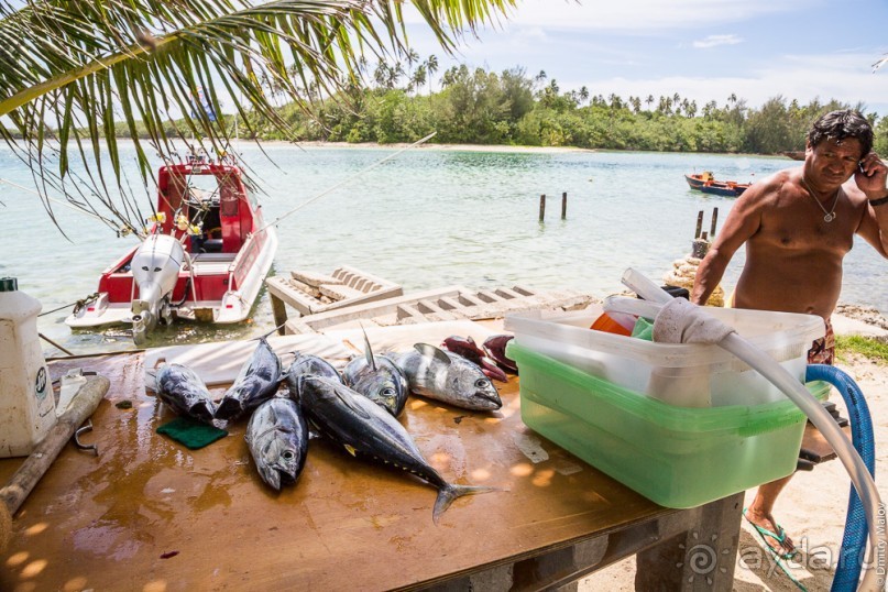 Раротонга, Острова Кука (2/3)